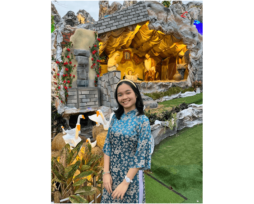 Silk brocade 1