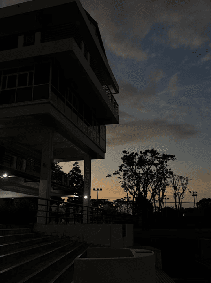 Gallery image 21