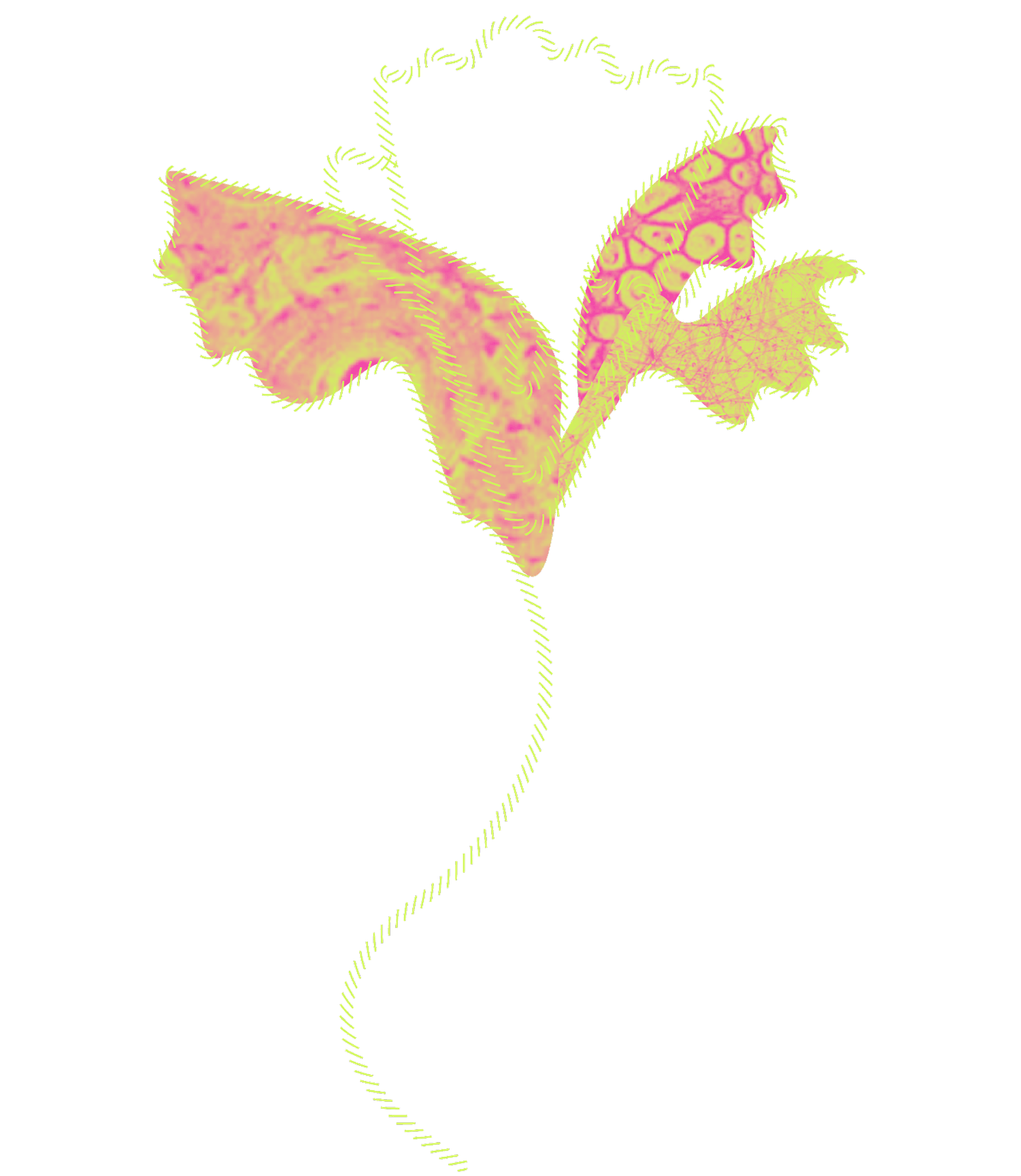 Flower Frame