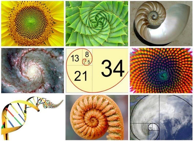Fibonacci