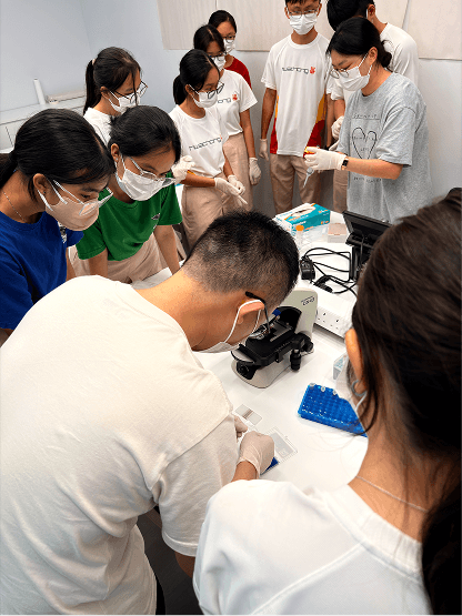 Viewing the minuscule CHO (Chinese Hamster Ovary) 1